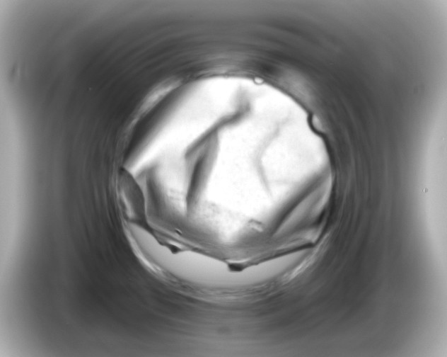 X0000085801433200704091441