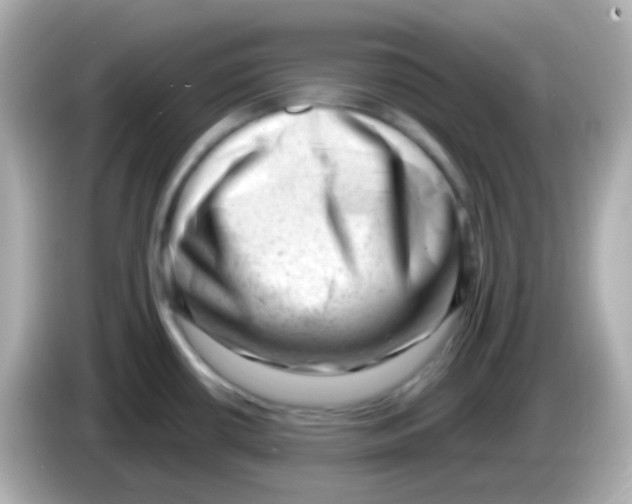 X0000085801434200704091441