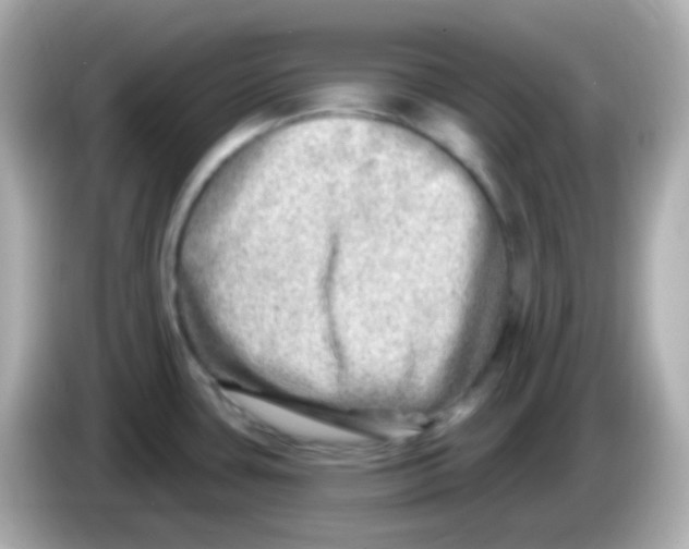 X0000085801435200704091441