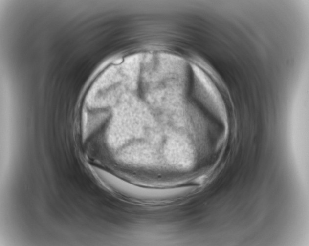 X0000085801436200704091441