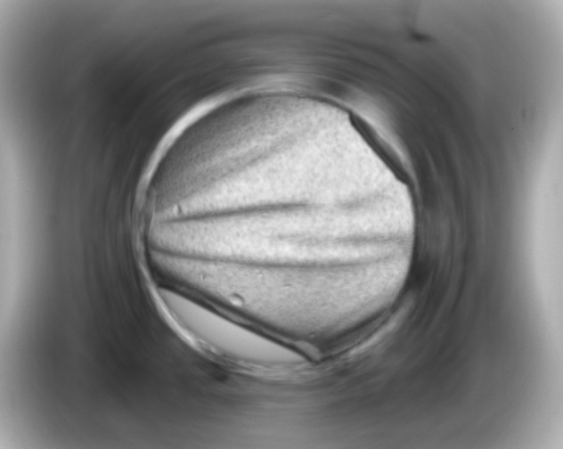 X0000085801437200704091441