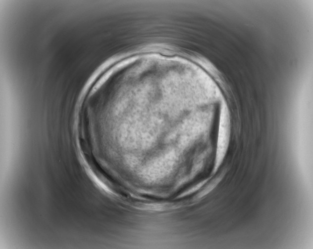 X0000085801438200704091441