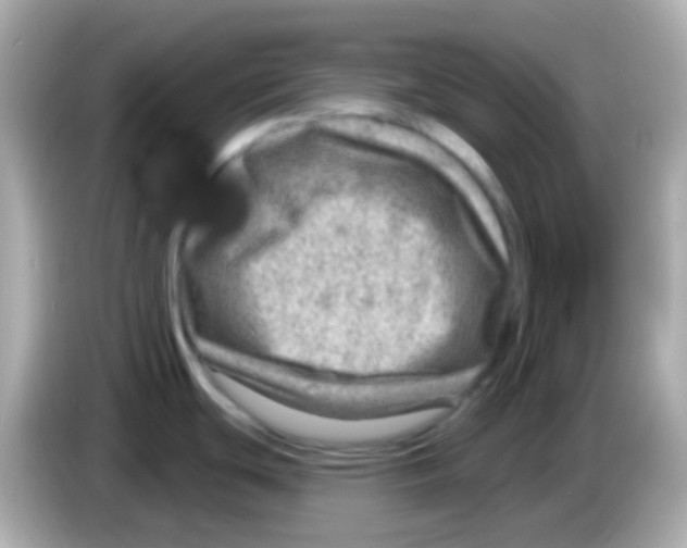 X0000085801439200704091441