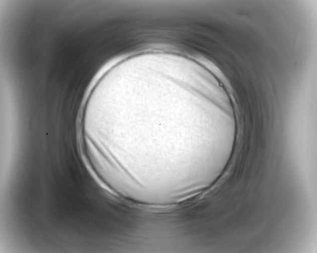 X0000085801440200704091441