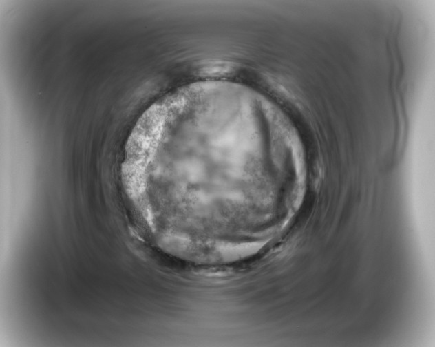 X0000085801441200704091440