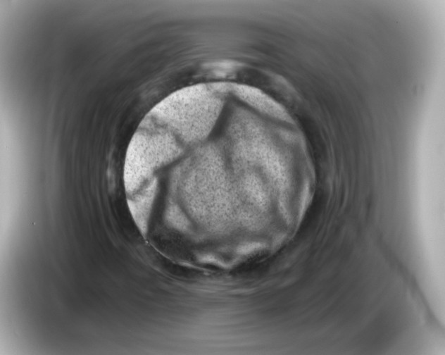 X0000085801442200704091440