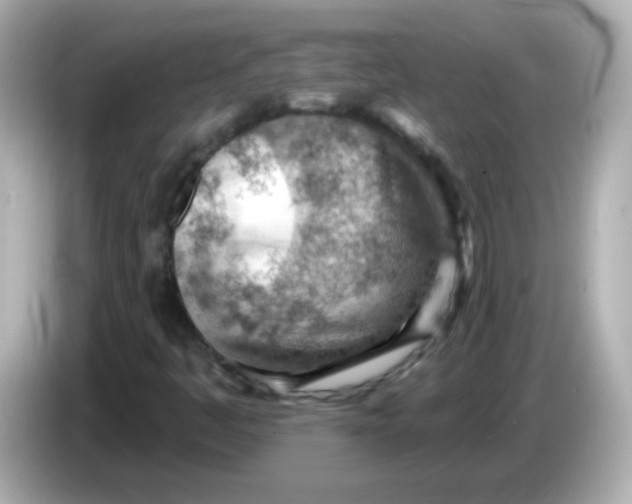 X0000085801445200704091440