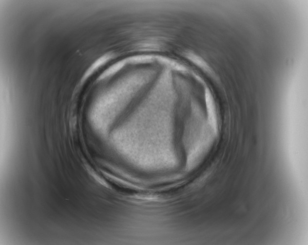 X0000085801450200704091440