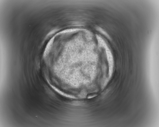 X0000085801451200704091440