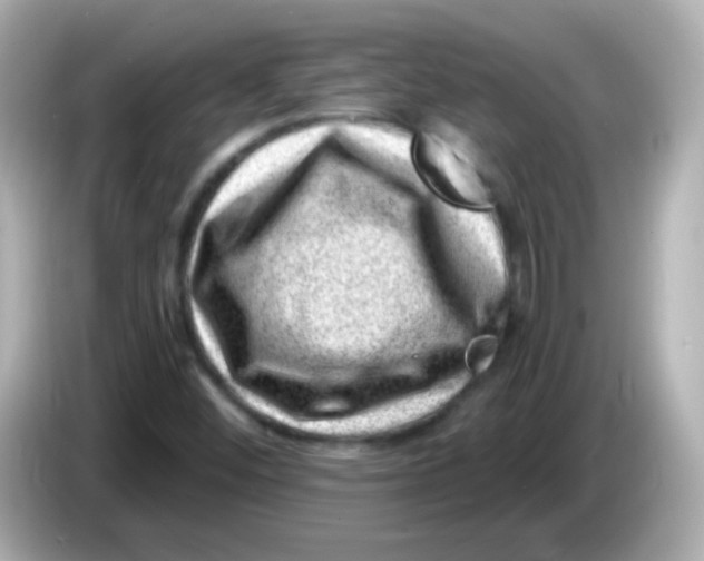 X0000085801452200704091440