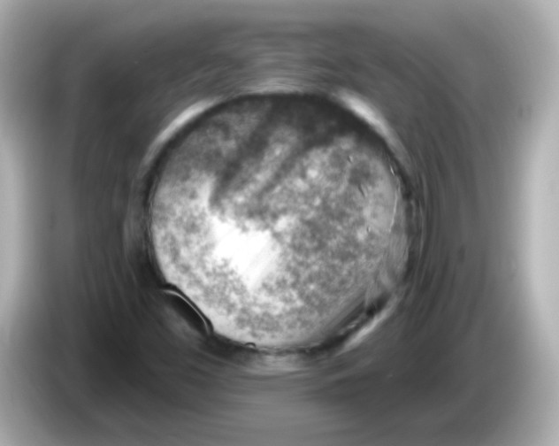 X0000085801453200704091440