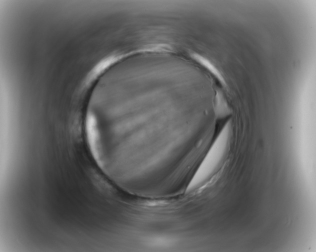 X0000085801455200704091440