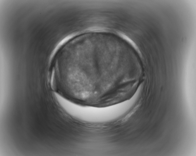 X0000085801461200704091440