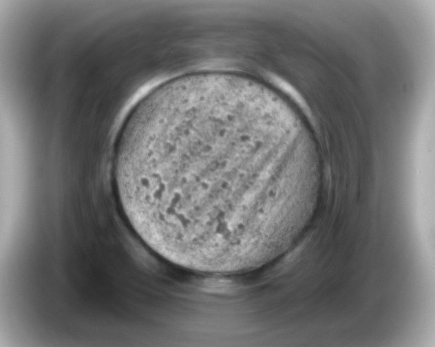 X0000085801463200704091440