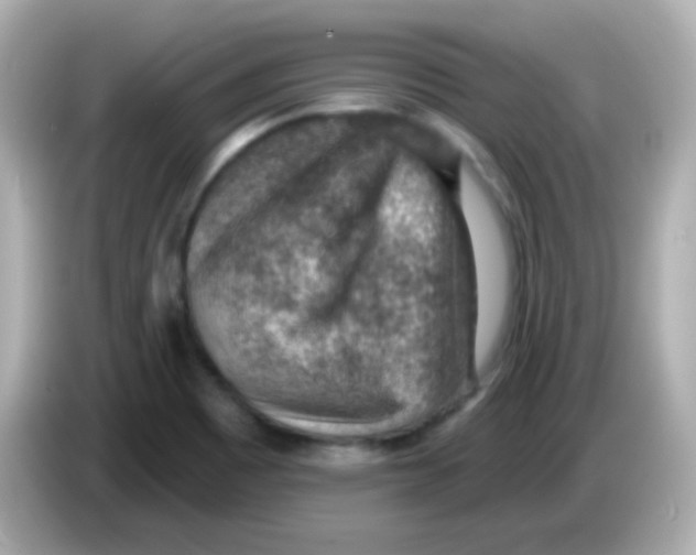 X0000085801465200704091440