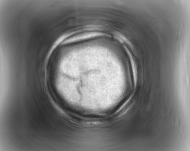 X0000085801467200704091440