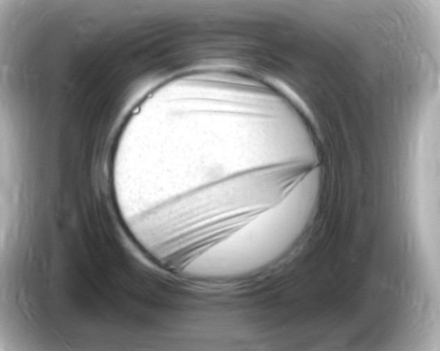 X0000085801468200704091440