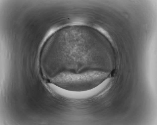 X0000085801469200704091440