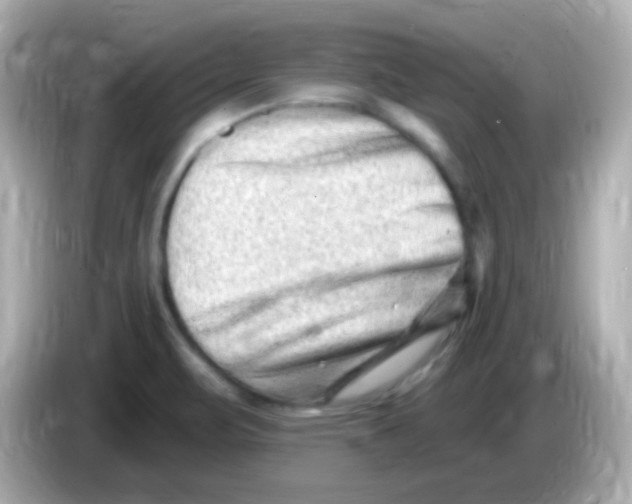 X0000085801471200704091440