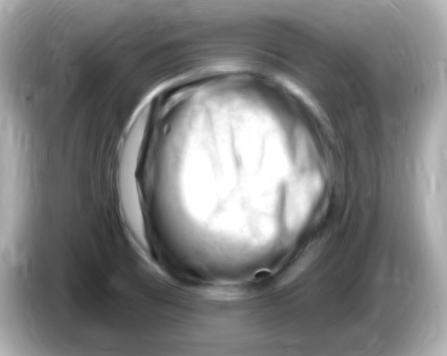 X0000085801473200704091440