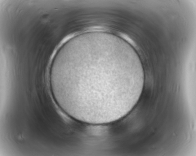 X0000085801474200704091440