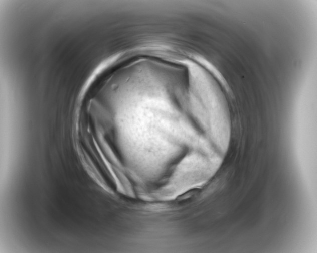 X0000085801477200704091439