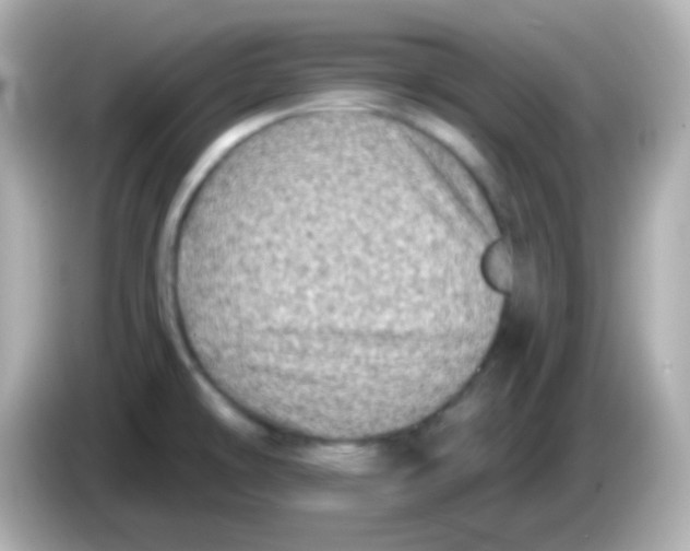 X0000085801478200704091439