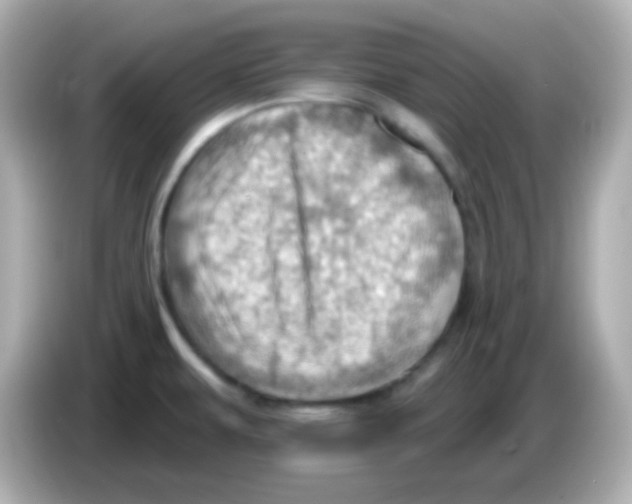 X0000085801479200704091439