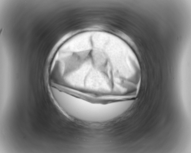 X0000085801480200704091439