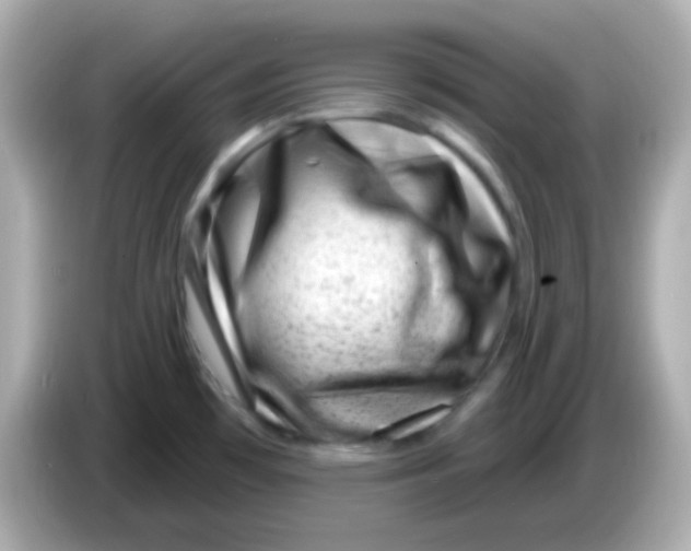 X0000085801481200704091439