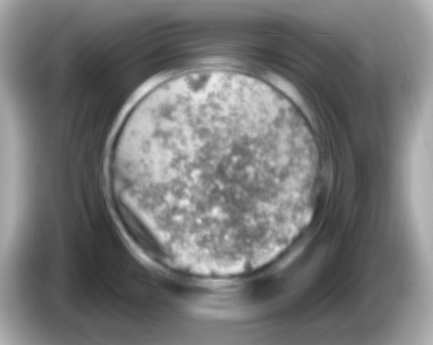 X0000085801482200704091439