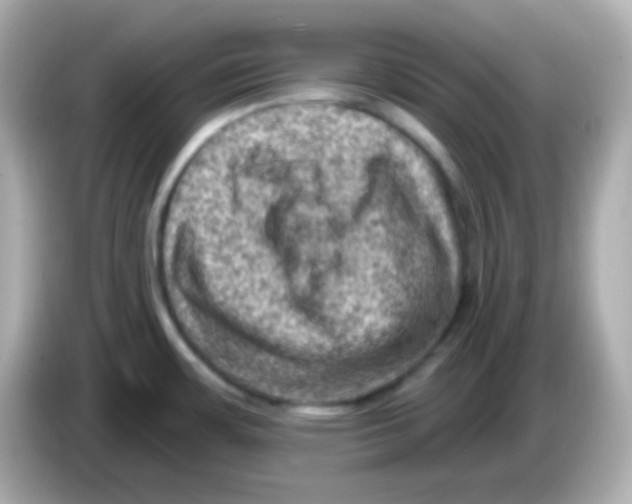 X0000085801483200704091439