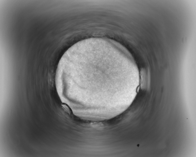 X0000085801491200704091439