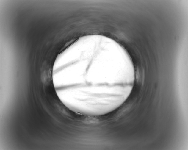 X0000085801492200704091439