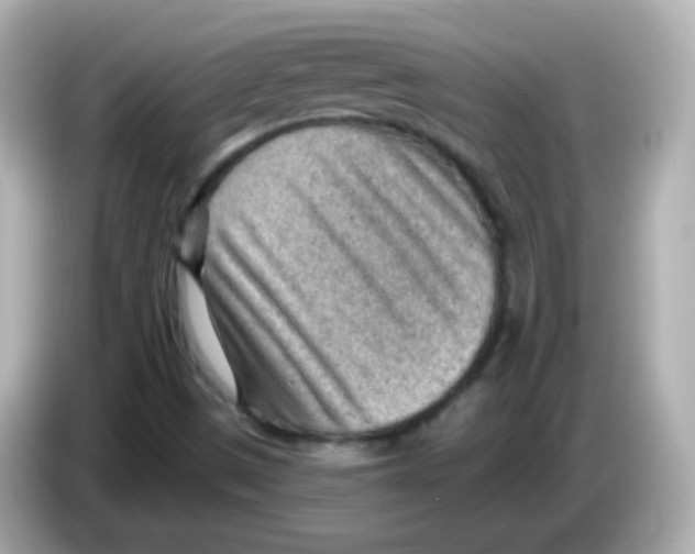 X0000085801497200704091439