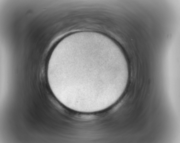 X0000085801498200704091439