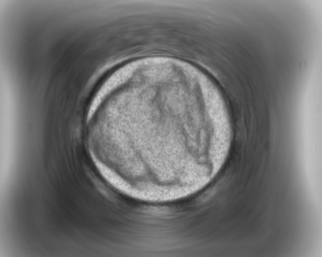 X0000085801499200704091439