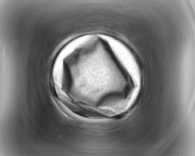 X0000085801500200704091439