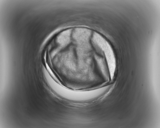 X0000085801502200704091439