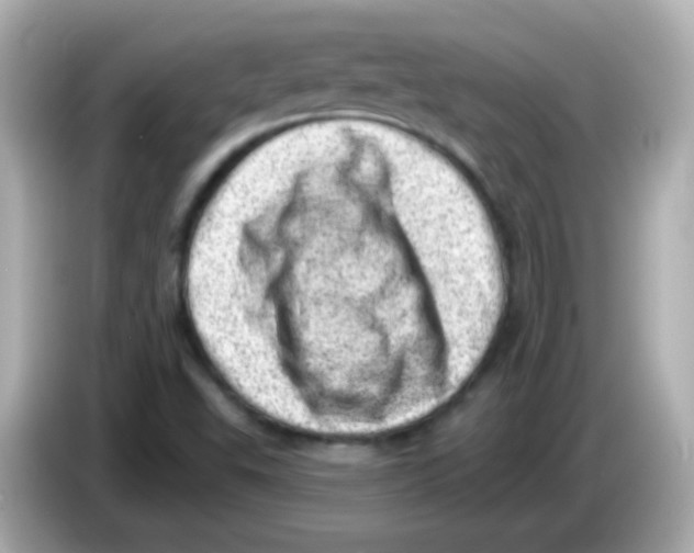 X0000085801503200704091439