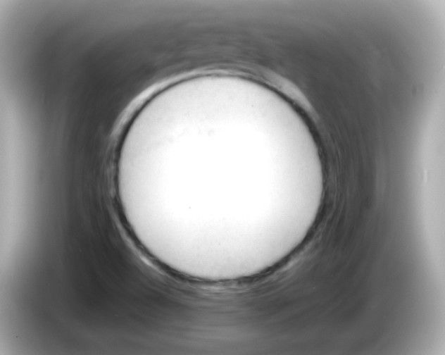 X0000085801504200704091439