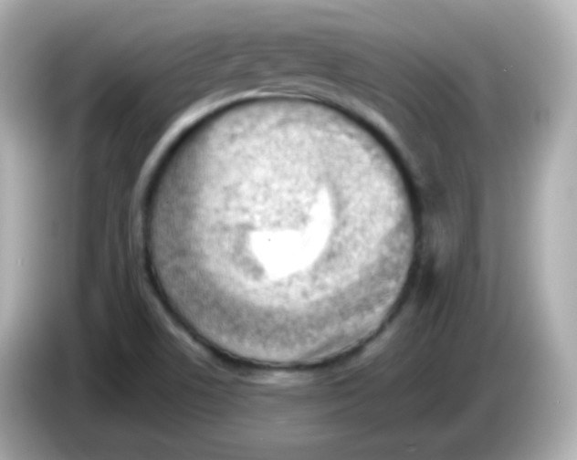 X0000085801506200704091439