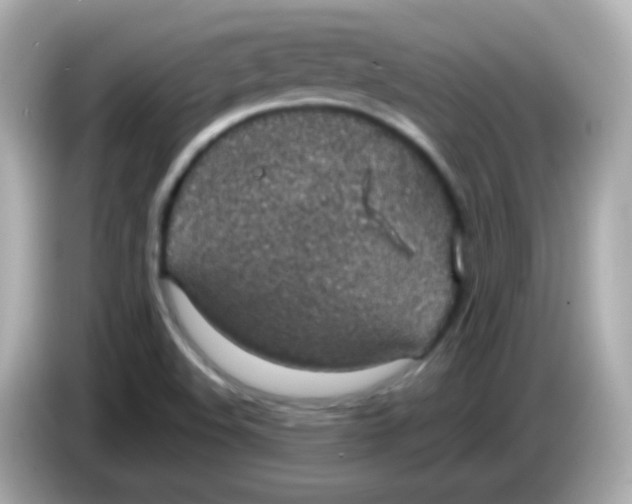 X0000085801508200704091439