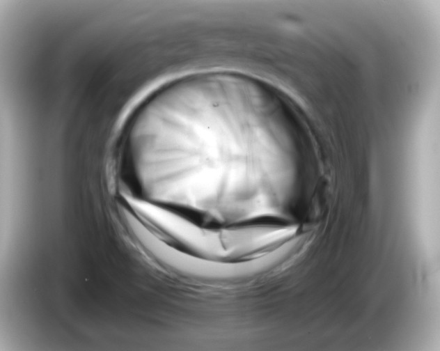 X0000085801510200704091439