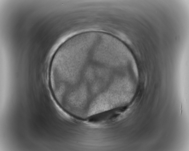 X0000085801512200704091439