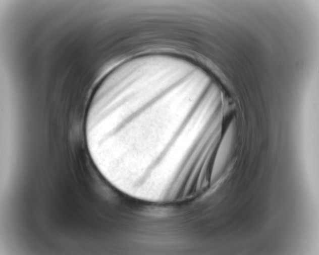 X0000085801513200704091439