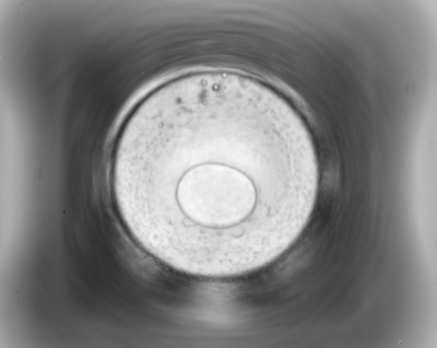 X0000085801514200704091439