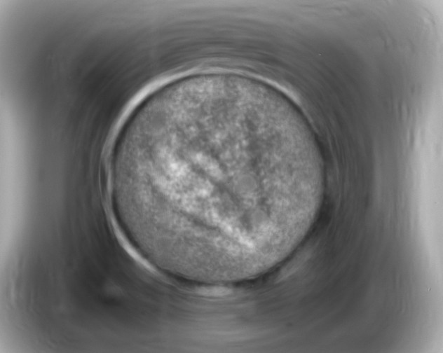 X0000085801515200704091439