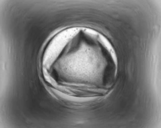 X0000085801517200704091439