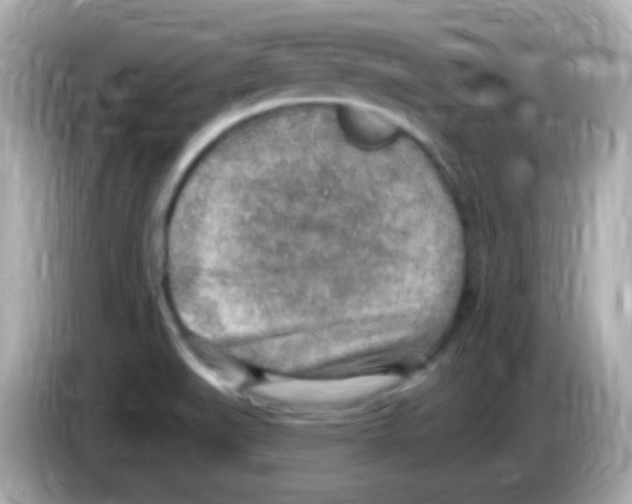 X0000085801519200704091439